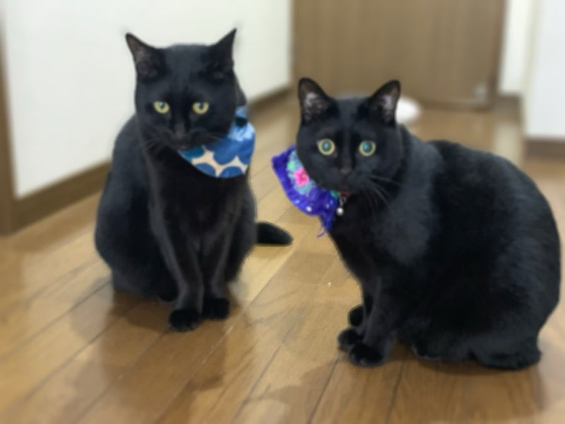 14歳おめでとう